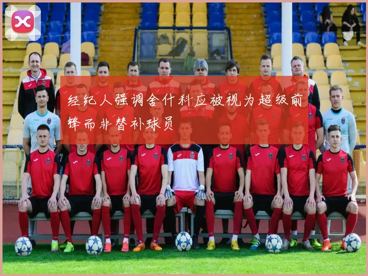 经纪人强调舍什科应被视为超级前锋而非替补球员